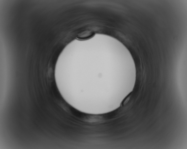 X0000083060087200703022143