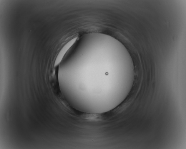 X0000083060096200703022143