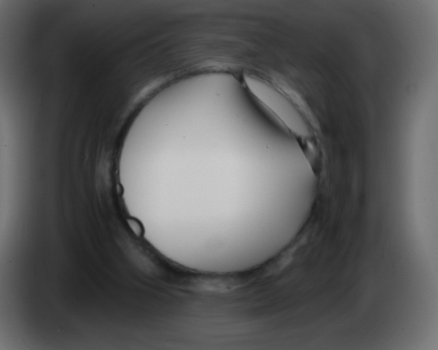 X0000083060106200703022143