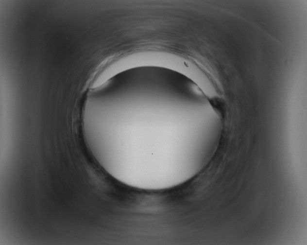 X0000083060107200703022143