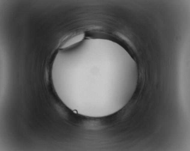 X0000083060110200703022143