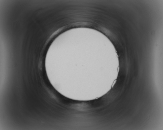 X0000083060112200703022143