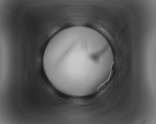 X0000083060113200703022143