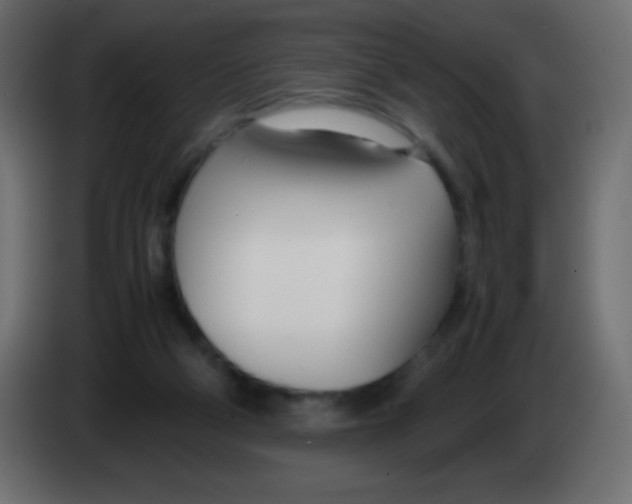 X0000083060114200703022143