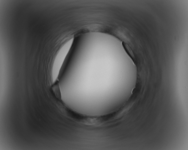 X0000083060117200703022142