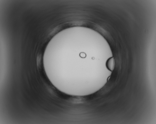 X0000083060118200703022142