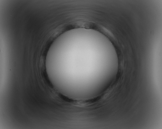 X0000083060121200703022142