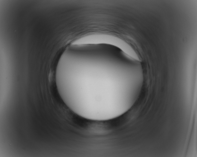 X0000083060123200703022142