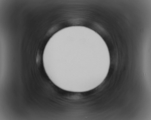 X0000083060124200703022142