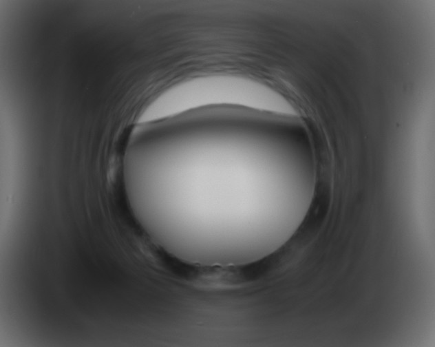 X0000083060125200703022142