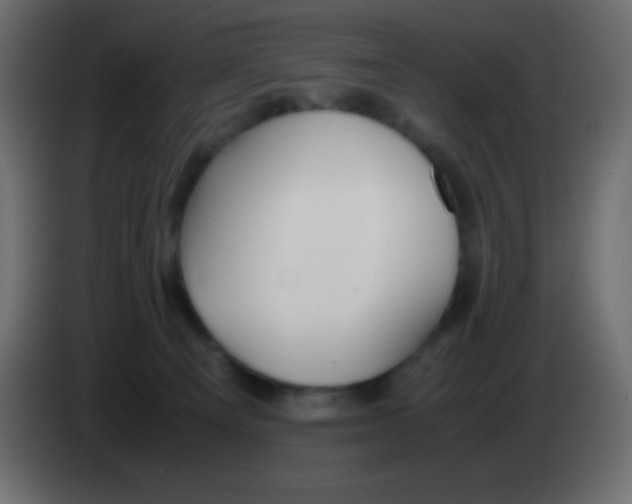 X0000083060129200703022142