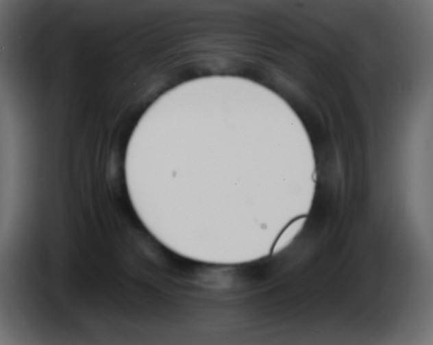 X0000083060132200703022142