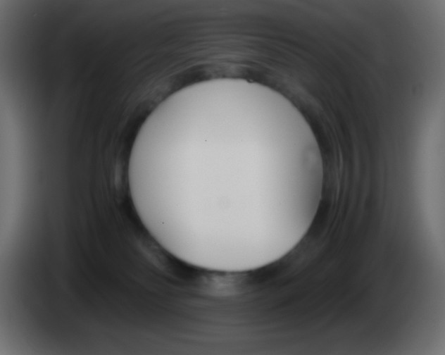 X0000083060134200703022142