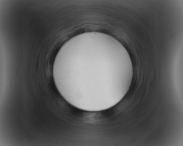 X0000083060135200703022142