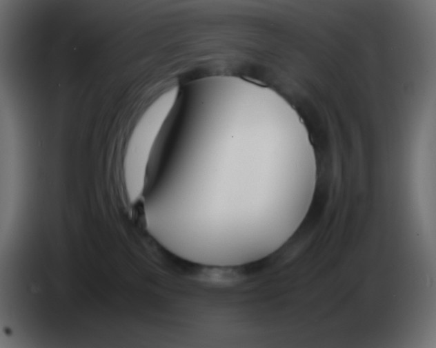 X0000083060137200703022142