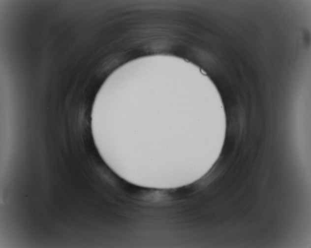 X0000083060140200703022142