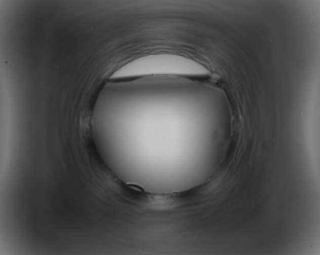 X0000083060141200703022142