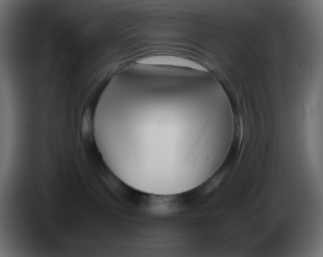 X0000083060143200703022142