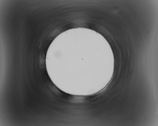 X0000083060144200703022142