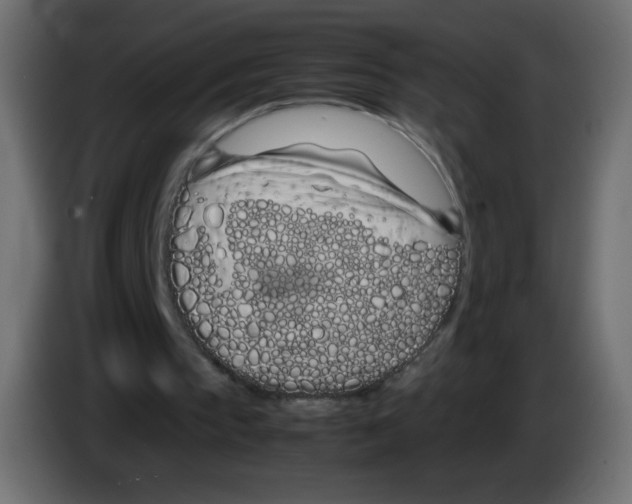 X0000083060145200703022141
