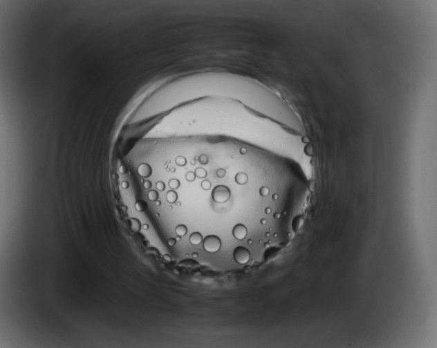 X0000083060147200703022141