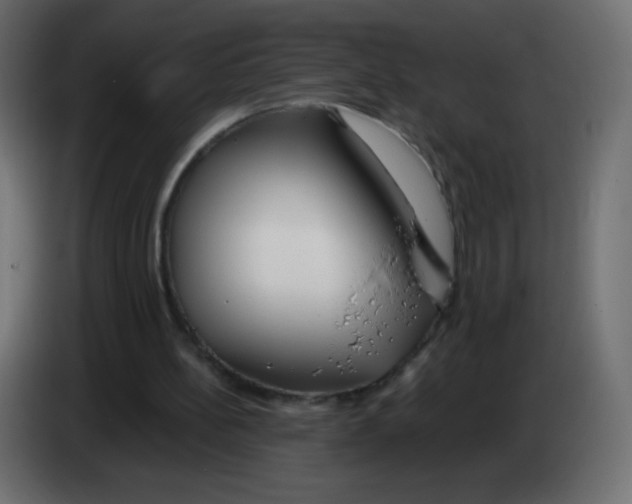 X0000083060148200703022141