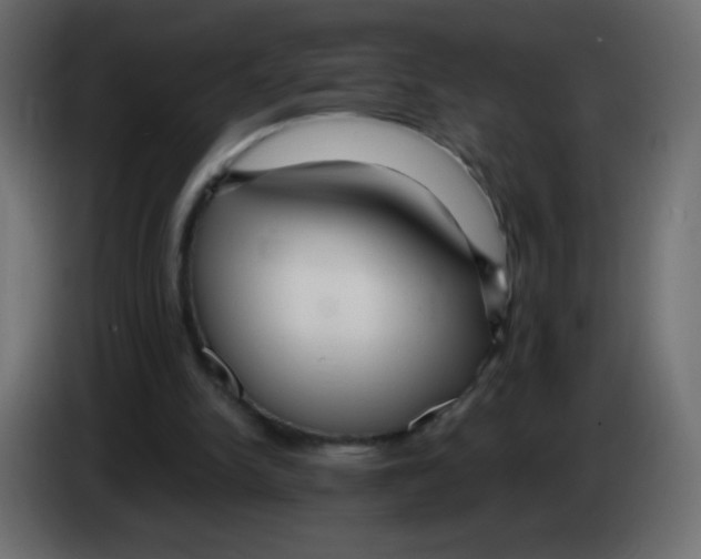 X0000083060150200703022141