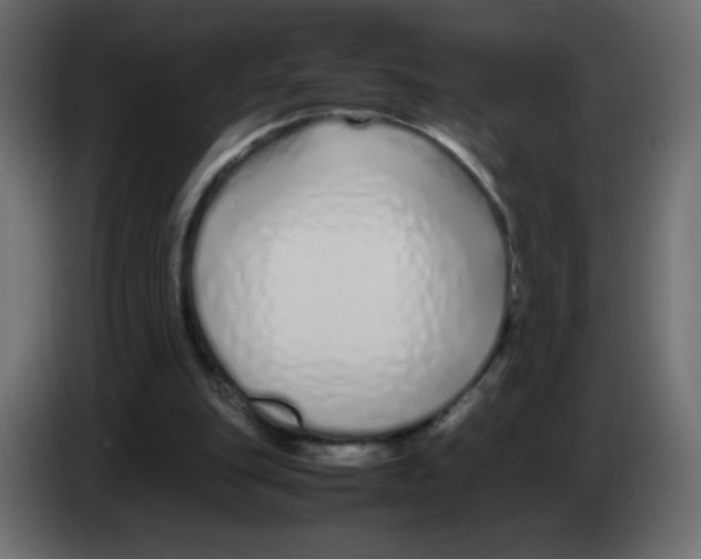 X0000083060151200703022142