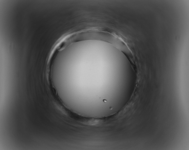 X0000083060152200703022142