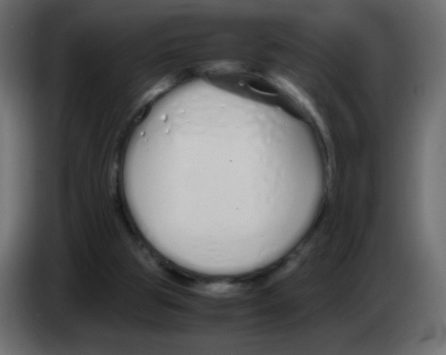 X0000083060153200703022142