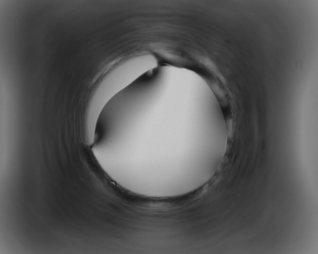 X0000083060154200703022142