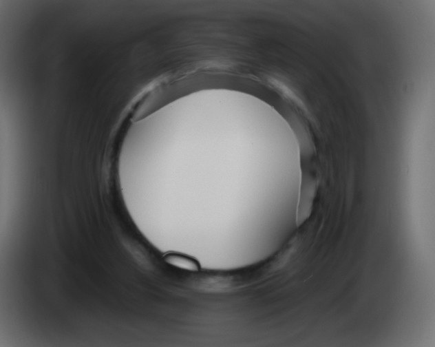 X0000083060156200703022142