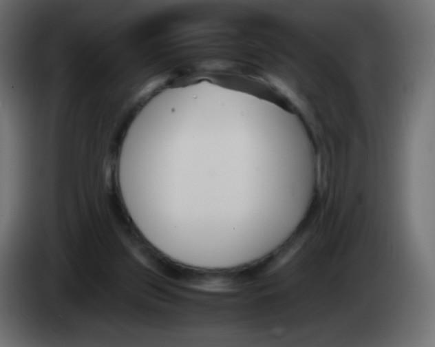 X0000083060157200703022142