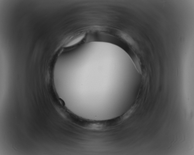 X0000083060158200703022142