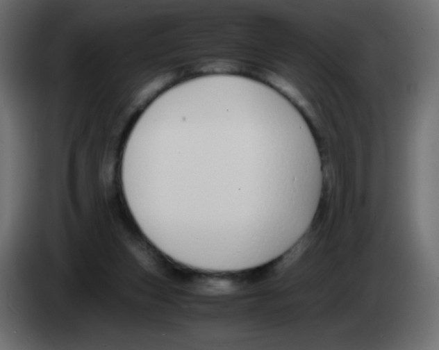 X0000083060159200703022142