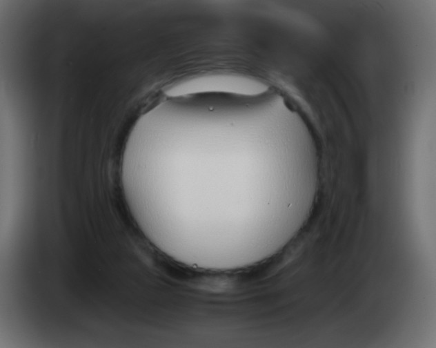 X0000083060161200703022142