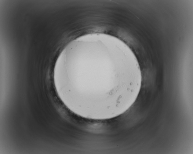 X0000083060162200703022142