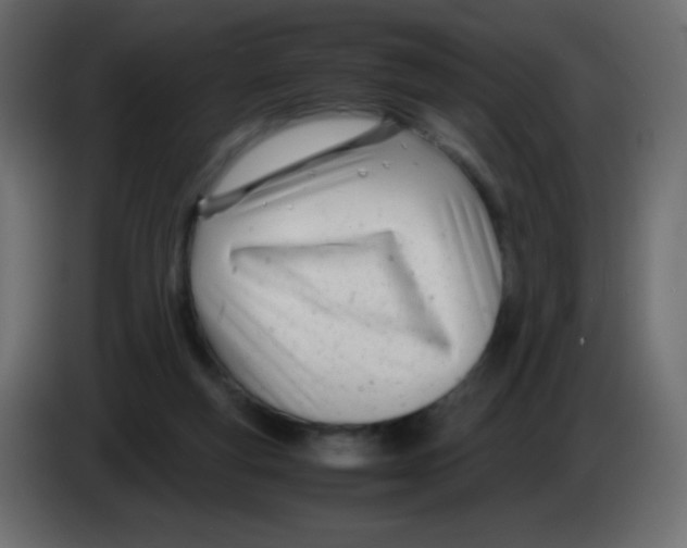 X0000083060163200703022142