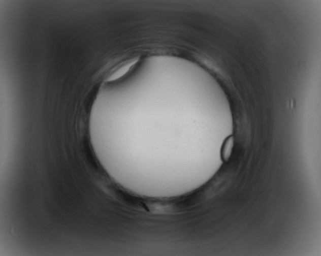 X0000083060165200703022142