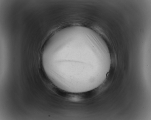 X0000083060167200703022142