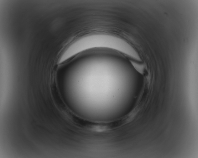 X0000083060168200703022142