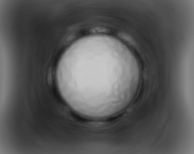 X0000083060169200703022142