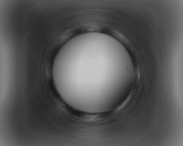 X0000083060170200703022142