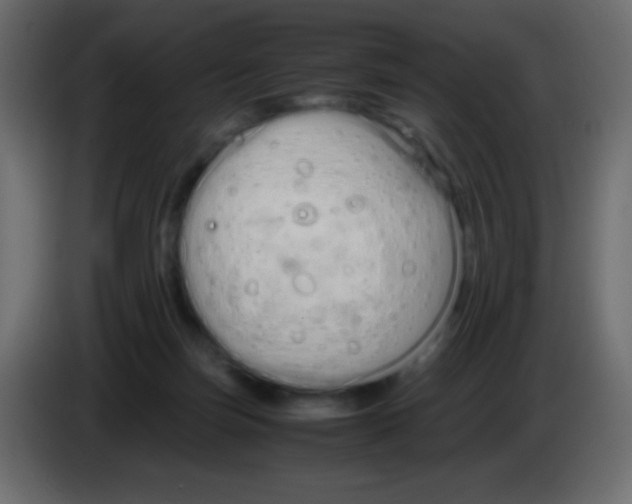 X0000083060171200703022142