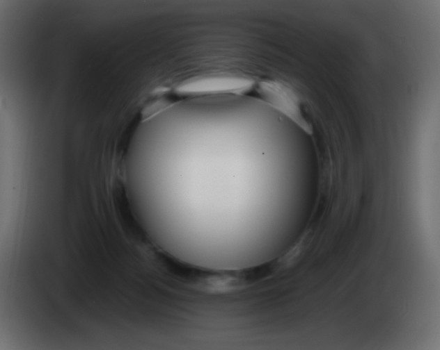 X0000083060172200703022142