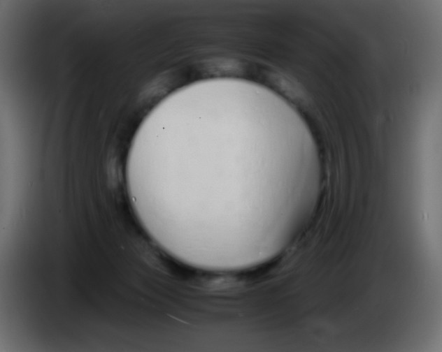 X0000083060173200703022142