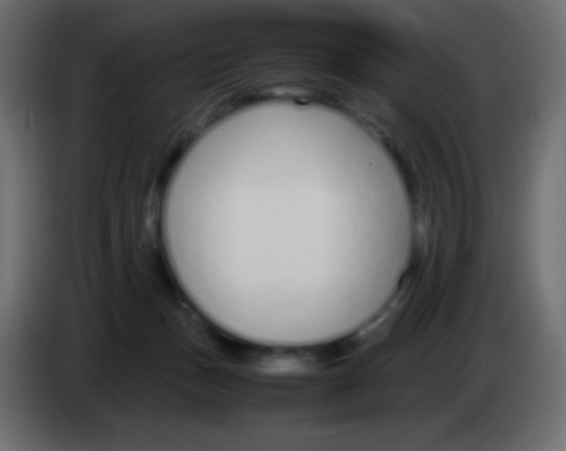 X0000083060175200703022142