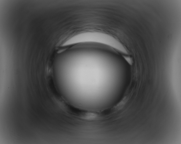 X0000083060176200703022142