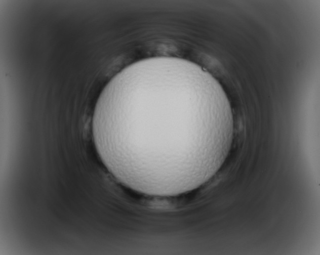 X0000083060177200703022142