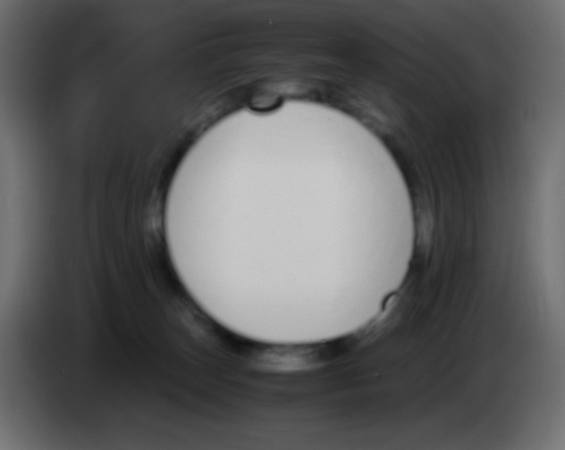 X0000083060179200703022142